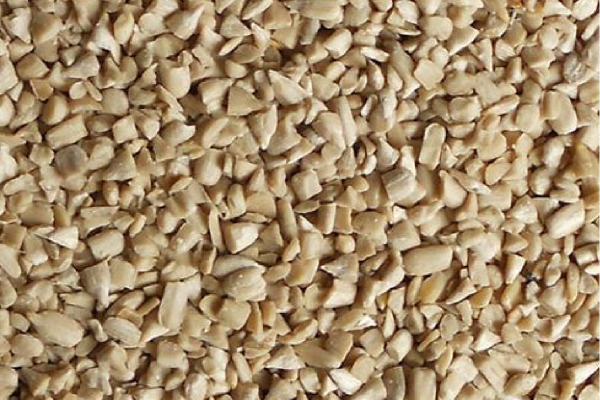 Hulled Sunflower Kernels – Chips