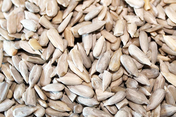 Hulled Sunflower Kernels – Confectionery