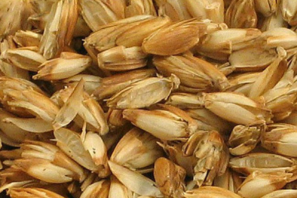 Spelt