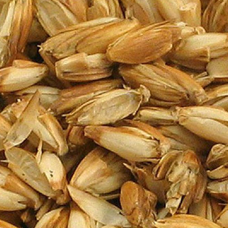 Striped Sunflower Seeds