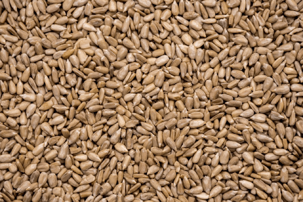 Hulled Sunflower Kernels – Bakery Grade