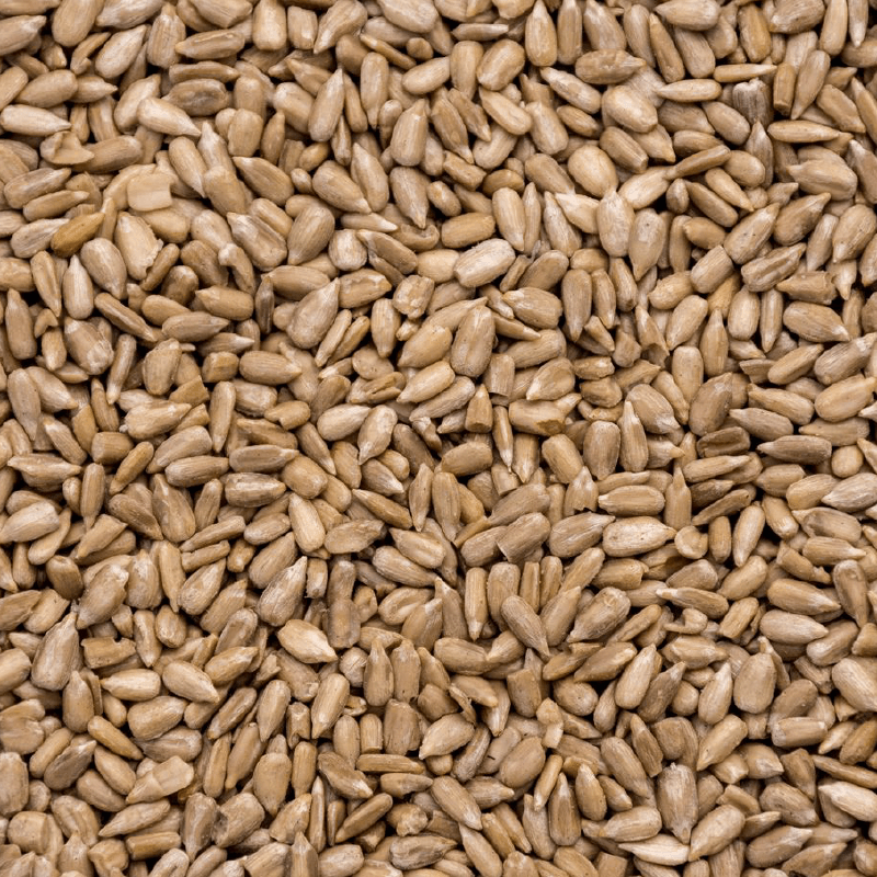 Hulled Sunflower Kernels – Bakery Grade